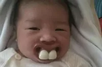 Gewoon een verzameling hilarische foto's #2158