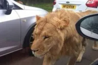 Gewoon een verzameling hilarische foto's #2160