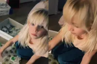 Schaar van Sinterklaas bezorgt chaos en lol tegelijk