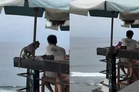 Toerist verliest mobiel aan fulltime primatendief