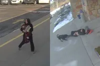 Loslopende Rottweiler grijpt moeder bij basisschool: hond uiteindelijk ingeslapen