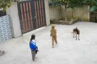 Hond leert vervelend snertventje even een wijze les