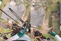 Ook een professional heeft weleens een oeps-momentje met z’n kettingzaag