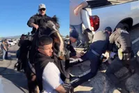 Aan een politiepaard zitten in Newport Beach? Dan heb je dus direct een probleem