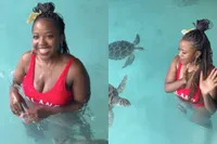 Vakantiedame staat doodsangst uit tijdens het zwemmen met schildpadden