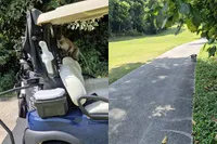 Brutale apen op Langkawi stelen golfkleding van Nederlander