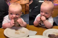 Is jong geleerd oud gedaan? Baby sabbelt op steak en lijkt meteen verkocht