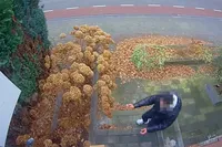 Pakketje weg uit Ter Apel: wie zou ‘m gestolen hebben?