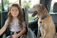 Wat groeit er nou bij deze hond, joh?