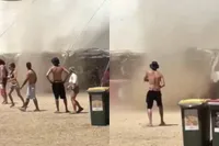 Aussie is niet bang en neemt het op tegen wervelwind