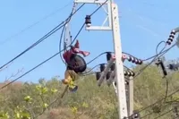 Amerikaanse paraglider pakt hoogspanning mee op Koh Larn: heel eiland uren zonder stroom