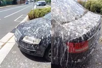 Pino woont vermoedelijk tegenwoordig in een buitenwijk van Sydney genaamd Toongabbie