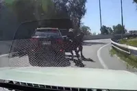 Overvaller denkt slag te slaan met carjacking, maar wordt zelf aangereden in Chili