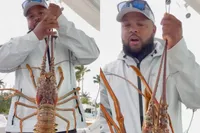 Gigantische kreeft is misschien de sjaak, maar weet er toch nog eentje uit te delen