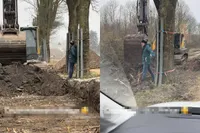 Boomknuffelaar gaat wel heel ver om boom te behouden