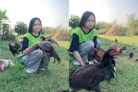 Je denkt te scrollen en plots is het chaos