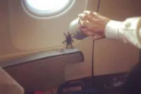 Gewoon een verzameling hilarische foto's #2185