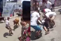 Stier ziet zijn kans en beukt man knock-out tijdens stierenrennen in Peru