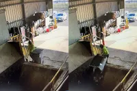 Container legen en zelf mee naar binnen