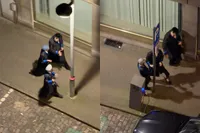 Die zal deze paal in Antwerpen niet snel meer vergeten