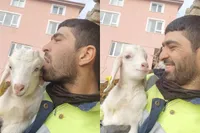 Geitje heeft er echt geen zin in