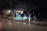 Koeien nemen Damwâld over: hekken gesloopt, brievenbus eraan en dorp helpt mee