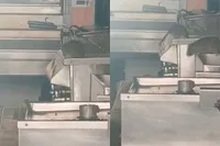 Man man man: Gezellig broodje eten in Amsterdam en ineens heb je geen trek meer