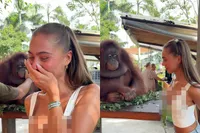 Orang-oetan zijn heeft ook zo z’n voordelen