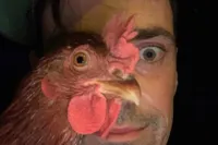 Gewoon een verzameling hilarische foto's #2217