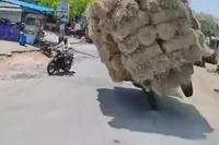 Hooi-transport eindigt in ellende: motorrijder gewond na kantelende tractor