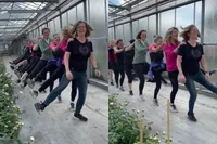 Dansje tussen de pioenrozen is best vermakelijk