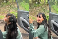 Hollen zet even haar kleine boodschap online