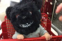 Gewoon een verzameling hilarische foto's #2208