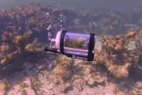 Papegaai Bebe gaat snorkelen in zelfgebouwde mini-onderzeeër en steelt wereldwijd de show