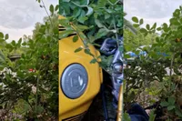 Billy kwam samen met zijn Honda CB600F Hornet in de struiken terecht en doet verslag
