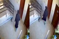 Instant karma op de trap voor vrouw die kat wil trappen