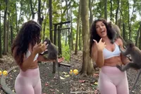 Monkey Forest op Bali blijkt minder gezellig