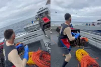 Visgevecht op zee loopt uit de hand