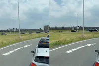 Japanse keizer Naruhito op bezoek in Nederland: enorme colonne auto's trekt aandacht