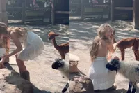 Geitje heeft een beetje honger, snappen we