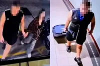Australische man opgepakt nadat lichaam van 17-jarig meisje in koffer wordt gevonden