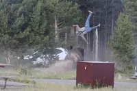 Toerist vliegt meters door de lucht na aanval van woedende bizon in Yellowstone