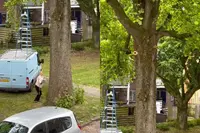 Tommy heeft geen haast: baasje staat ruim een uur met kattensnoepjes onder een boom