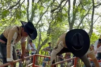 Tegen pijn blijkt zelfs de stoerste cowboy niet bestand
