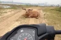 Gewoon een verzameling hilarische foto's #2253