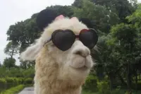 Gewoon een verzameling hilarische foto's #2255