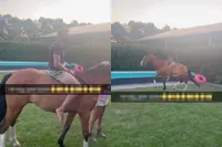 Jongen leert paardrijden... op de harde manier