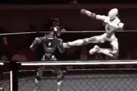 Robot verliest zijn hoofd tijdens MMA-gevecht... en knokt doodleuk verder