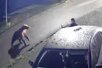 Rus scheldt moederbeer én man die hem redt helemaal verrot tijdens bizarre ontmoeting op straat