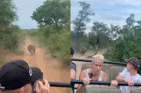 Neushoorn heeft zin in cardio en jaagt safariwagen vijf kilometer achterna